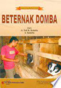 Beternak Domba