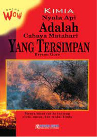 Image of Kimia: Nyala Api adalah Cahaya Matahari yang Tersimpan