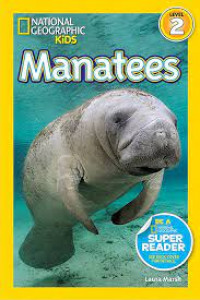 Image of Manatees