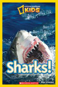 Image of Sharks