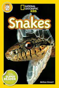 Image of Snakes